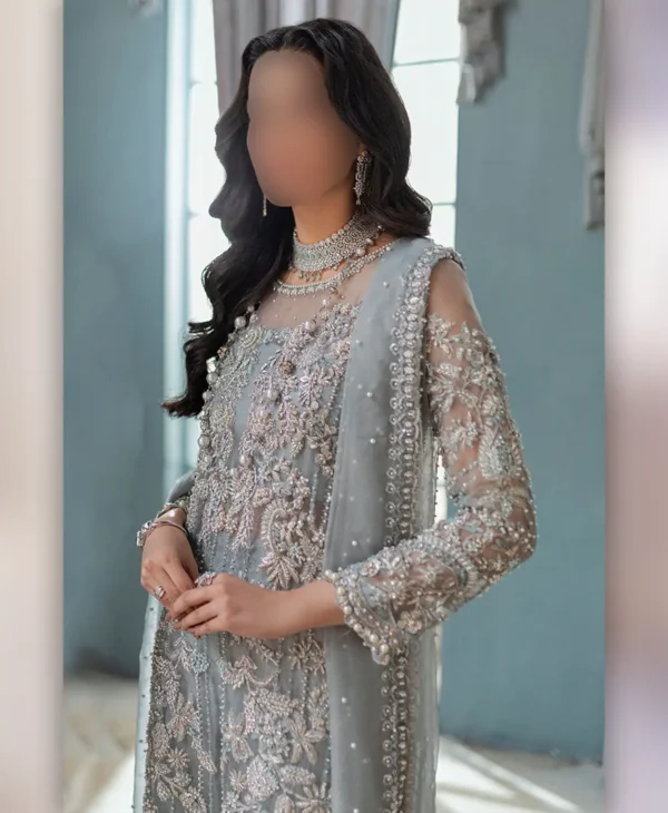 Glacier Grey by Nayab Fashion Bridal Dress Ladies Fashion Women Clothing Casual Dress