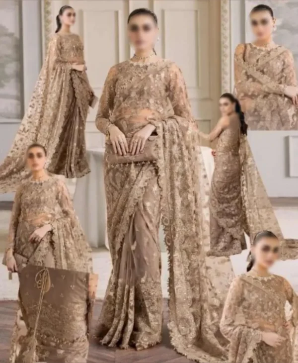 Caramel Saree by Nayab Fashion Bridal Dress Ladies Fashion Unstitched Women's Clothing