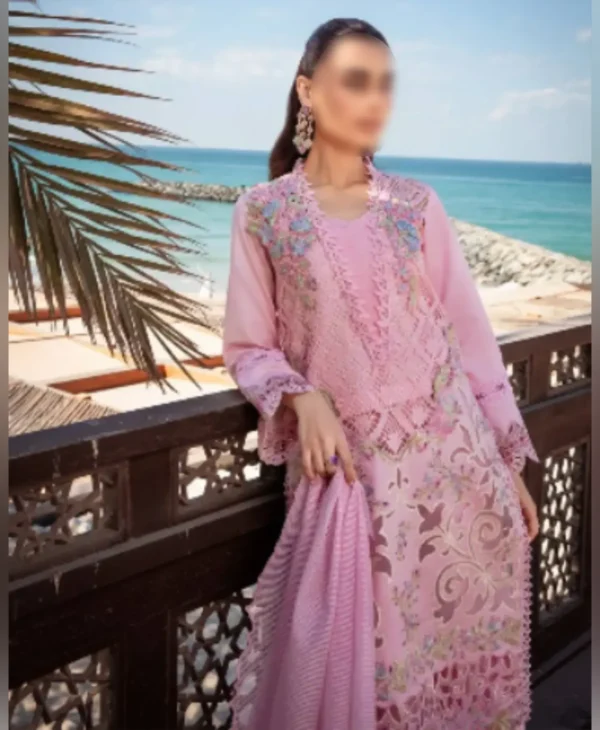 RR Pink by Nayab Fashion Bridal Dress Ladies Fashion Unstitched Women's Clothing